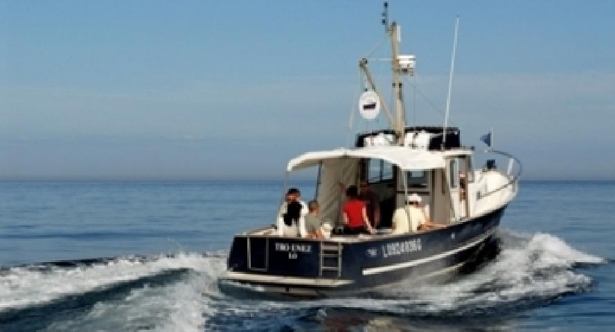 SOREMAR WAFA SAMAK.jpg